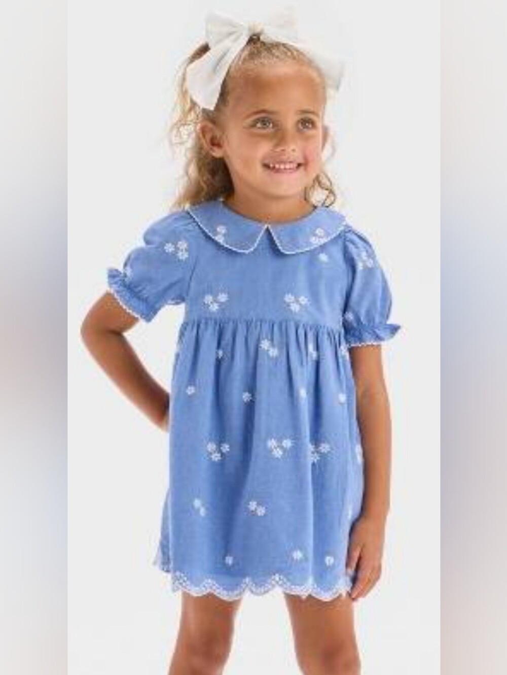 Cat & Jack Blue Embroidered Peter Collar Dress